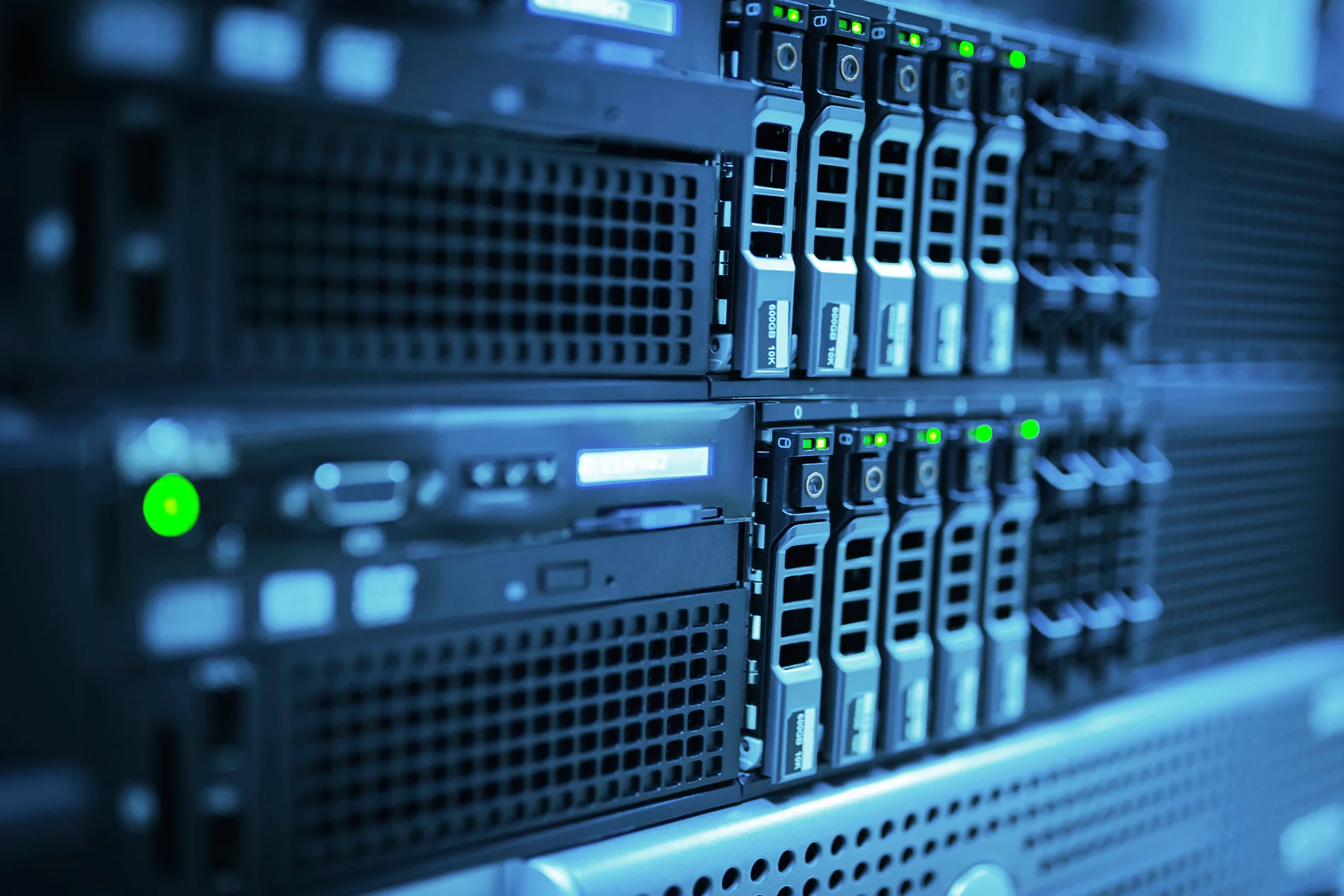 Server Rental